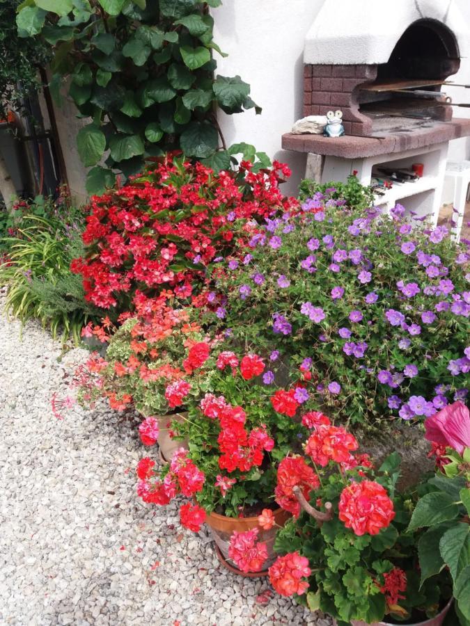 Forestier Marennes  Exterior foto